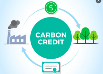 New innovative digital solution provides access to selected Voluntary Carbon Credits from Citi Commodities’ portfolio and Univers’ EnOS Ark platform.