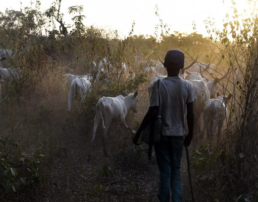 apakah-tuduhan-genodisa-kritiani-di-nigeria-itu-beneran