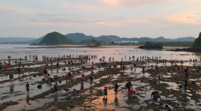 Festival Bau Nyale 2026 Dibuka di Lombok