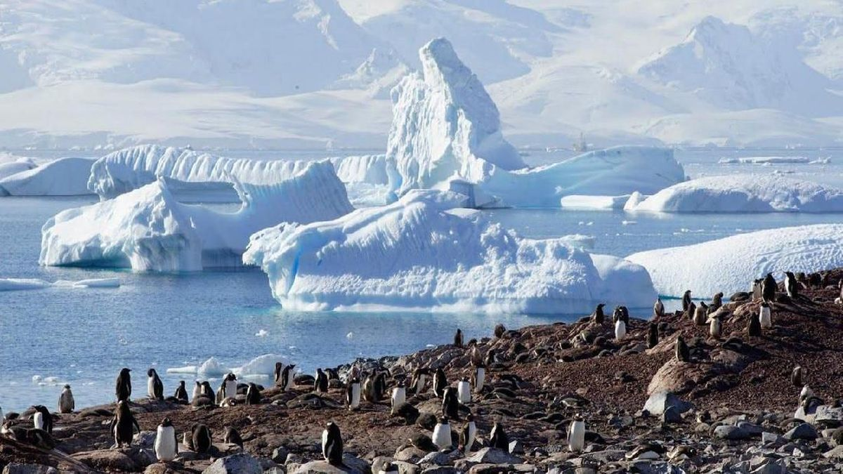 Ekspedisi Antartika Pantau Gunung Es Terbesar Terpecah