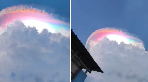 Update Viral Mei 2026 Fenomena Media Sosial Trending Minggu Ini